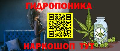 соль ск Пушкино