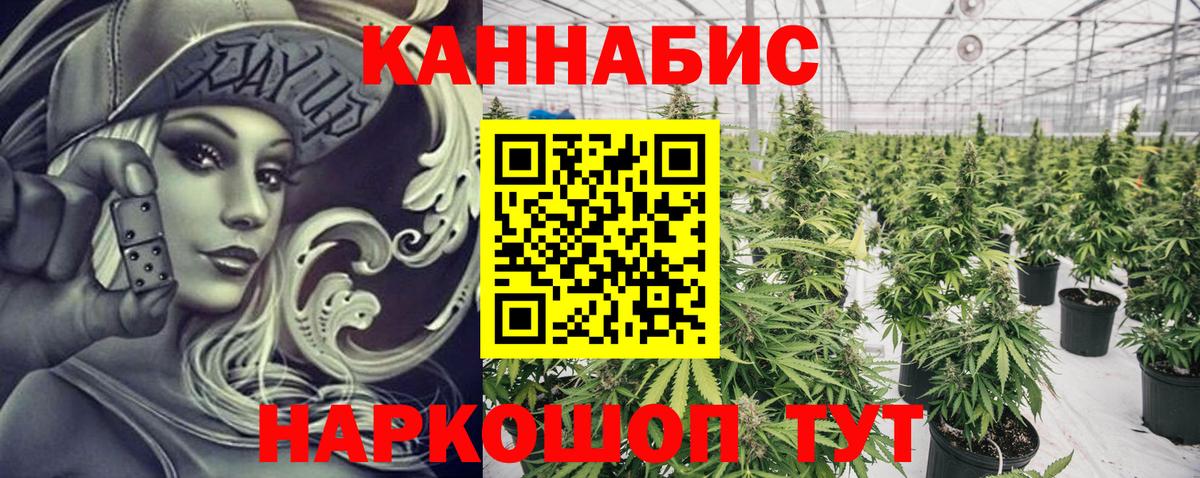 Бошки Шишки конопля  Вход с VPN  Россия  Бошки Шишки тримм  Каннабис семена 